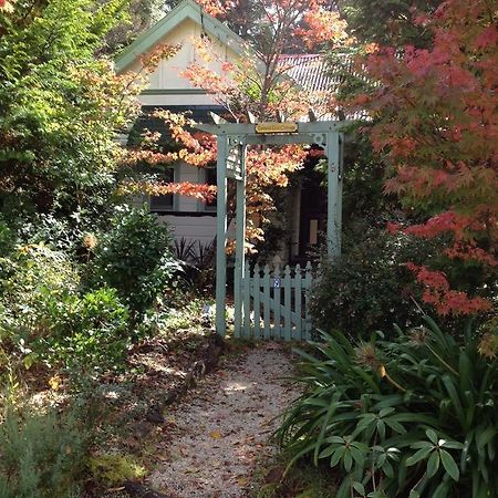 Lemon Tree Cottage Leura Exterior photo