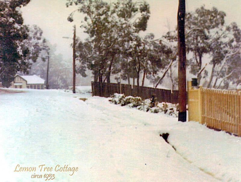 Lemon Tree Cottage Leura Exterior photo