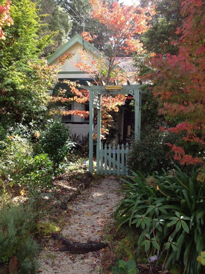 Lemon Tree Cottage Leura Exterior photo