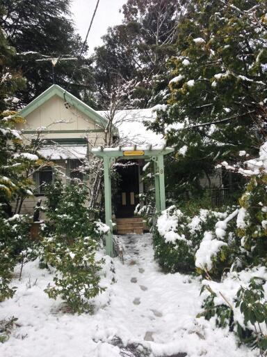 Lemon Tree Cottage Leura Exterior photo